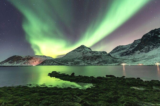 Vibrant Northern Lights over a snowy Scandinavian landscape
